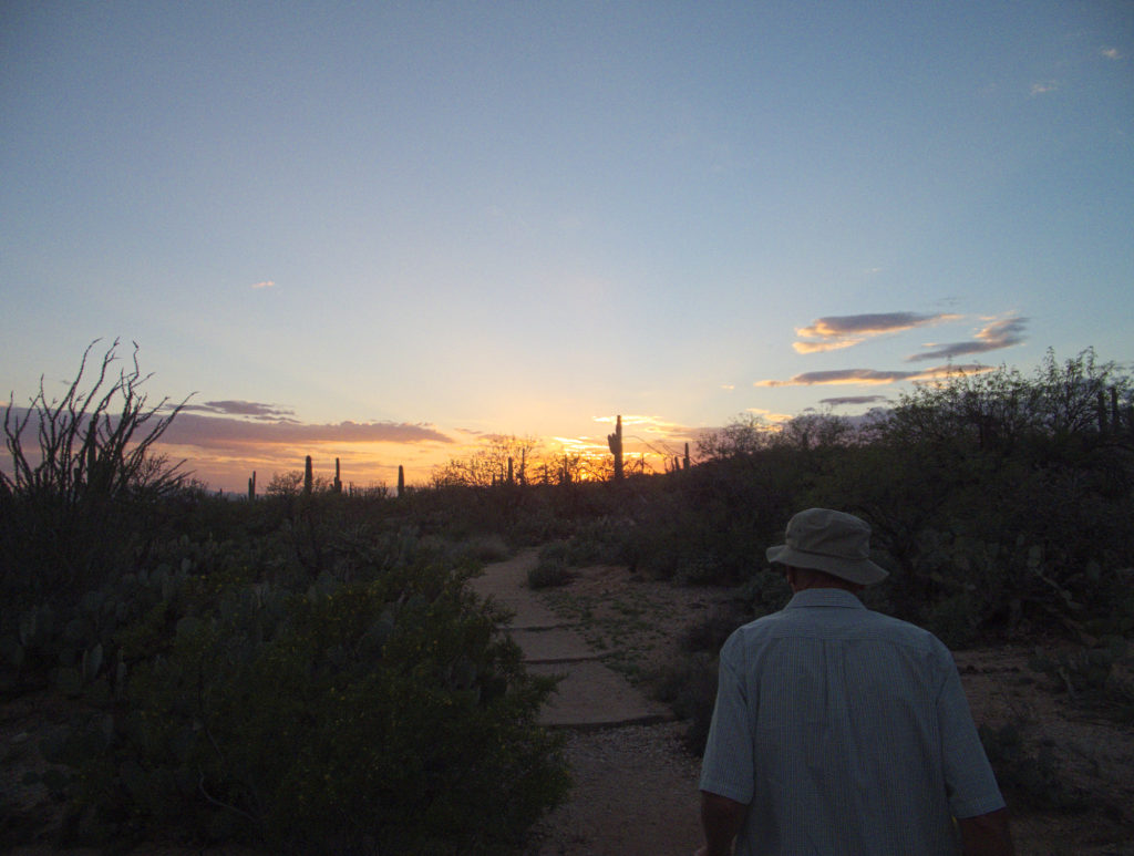 Wade in the desert, hiking towards the sunset