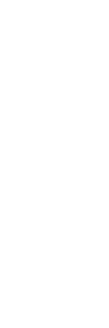 white Latin Cross